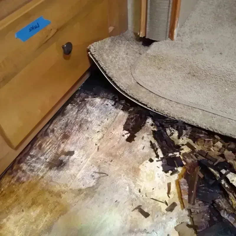 Best Wood Floor Water Damage Service in Geneva County, AL